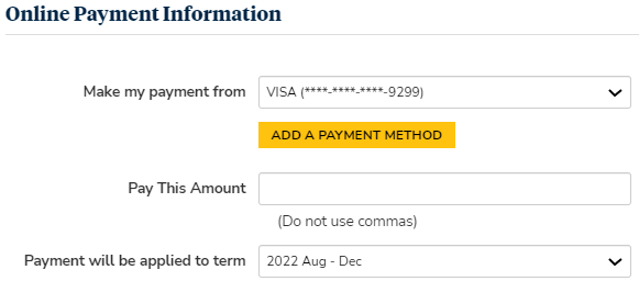 Online Payment Info