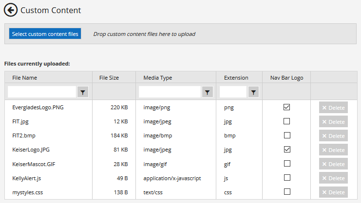 Custom Content workspace