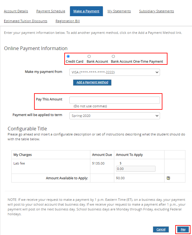 Make a Payment tab - Payment Info